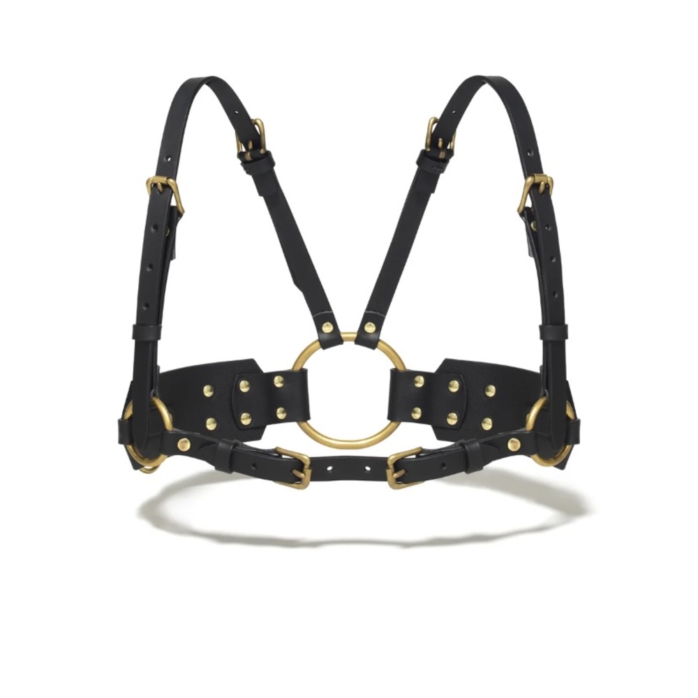 Ardeo harness with brass hardware